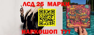 СК Гатчина