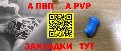 СК Гатчина