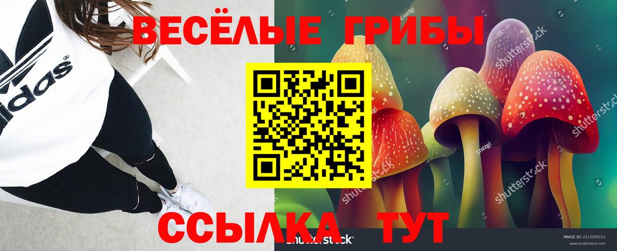 Москва  Галлюциногенные грибы Psilocybine cubensis  наркотики  Псилоцибиновые грибы прущие грибы  Вход с VPN 